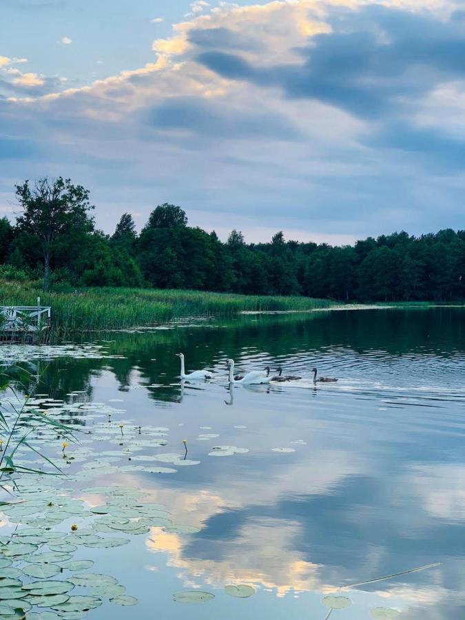 Antakalnis  Sodybos Kompleksas - Eco Resort Trakai المظهر الخارجي الصورة